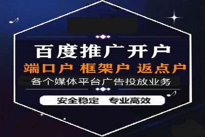 某某sem代运营推广公司经典案例：品牌知名度大增